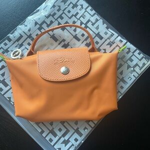 Mini Longchamp purse